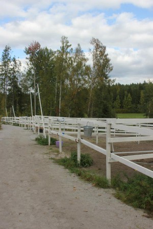 Tarhamme uusittu 2013, kaikki tarhat ovat laudoitetut ja sähkö kulkee kaikissa